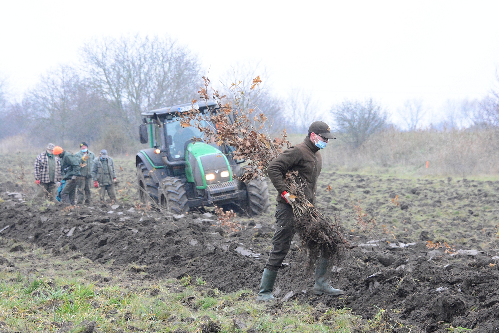 Így telepítik az erdőt a Hübner András utca mögötti területen